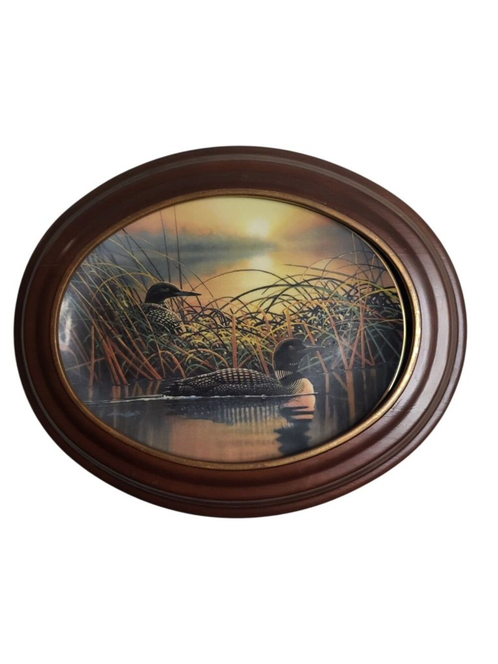 Bradford Exchange Bruce Langton LE Collector's Plate Loons "Whispering Waters"